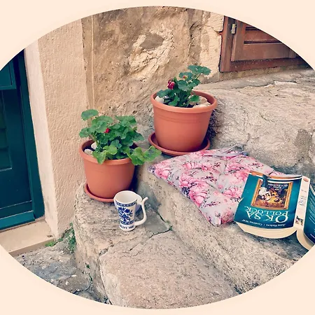 New La Barca Old Town